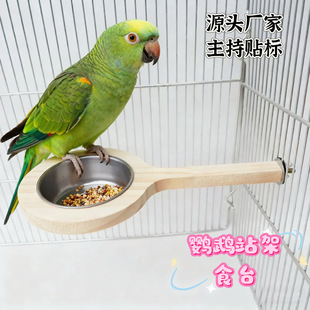 ���R�d�W�^��ľ���P�ʳ���B�\�Ғ�ʽιʳ��С�ͷ����Bվ�Uιʳ��