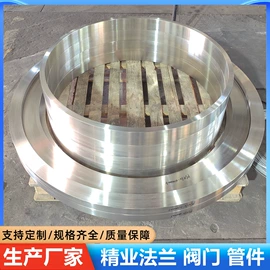 法兰;铸造;止回阀