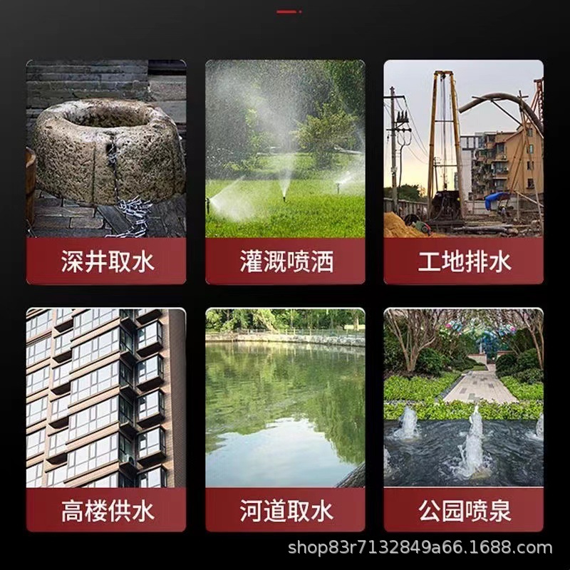 Bomba de pozo profundo de tornillo 220V bomba sumergible doméstica de alta elevación de riego agrícola de acero inoxidable bomba monofásica pequeña