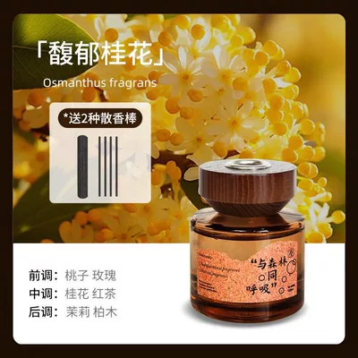 Fragrance High-Grade Car Perfume for – Car Perfume Aromatherapy - fragrant-osmanthus-120ml