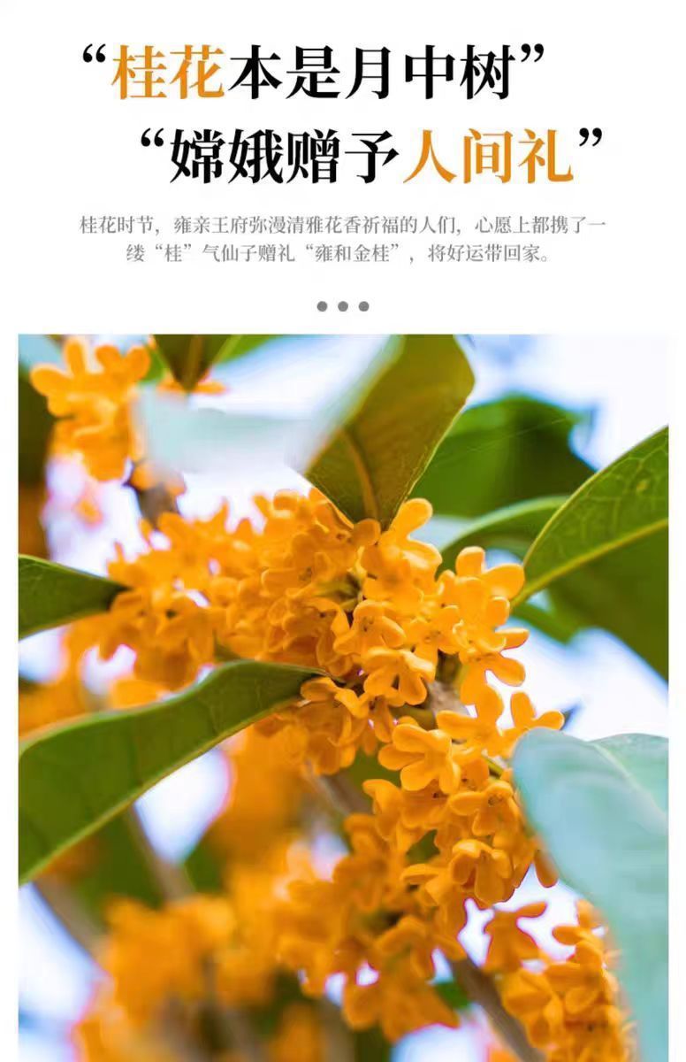 98355098-1510-4126-b1cb-61836c9afc7b.jpe