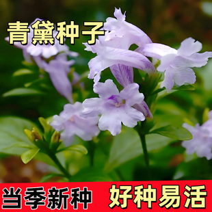 ����N�ӵ��~������ޤ�{�N���ļ��NֲȾ��Ⱦ���׳ɻ����ֲ�����