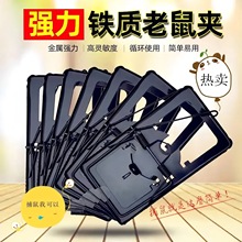 ����A����Aץ����A�����̖��������̤�������������A