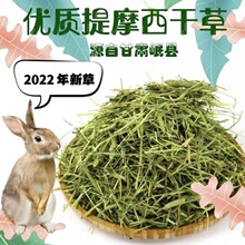 提摩西草批发兔子草兔粮兔兔龙猫牧草荷兰猪主粮兔饲料干草苜蓿草