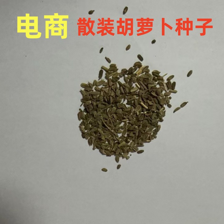 批发电商散装胡萝卜籽蔬菜种子樱桃萝卜小包装设计阳台儿童种植