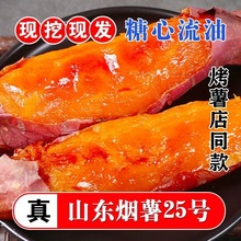 烟薯25号沙地蜜薯糖心红薯小新鲜红皮心烟台农科院烤山芋专用番薯