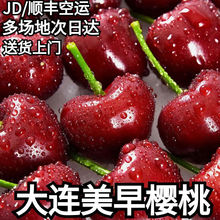 ��S���]�Fժ�������Ҵ��B���a܇�������rˮ�����]5��Y���b