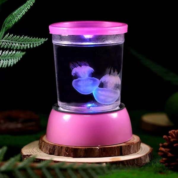 2 red moon jellyfish + pink glowing cups Feed + seawater + drip