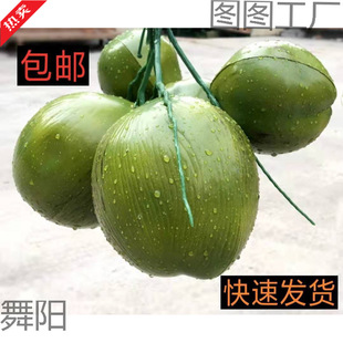 �����Ҭ����Ҭ��Ҭ������Ҭ�Ә�����ϵ��� ����ˮ����ˮ���b�