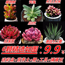 �������ֲ���Ժðl؛�M���ײͻ��ܾGֲ��ݗ���������k���ҿ͏d