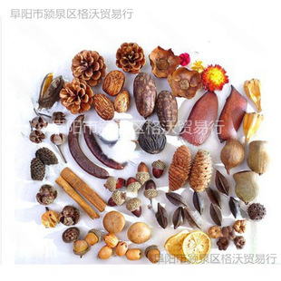 �ɻ��b��޻�����ɹ���֦���~ɏ����׃��@�ֹ��h�����ϰ�