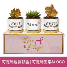 跨境多肉花盆套装带托盘亚马逊可印logo白瓷白色陶瓷小花盆