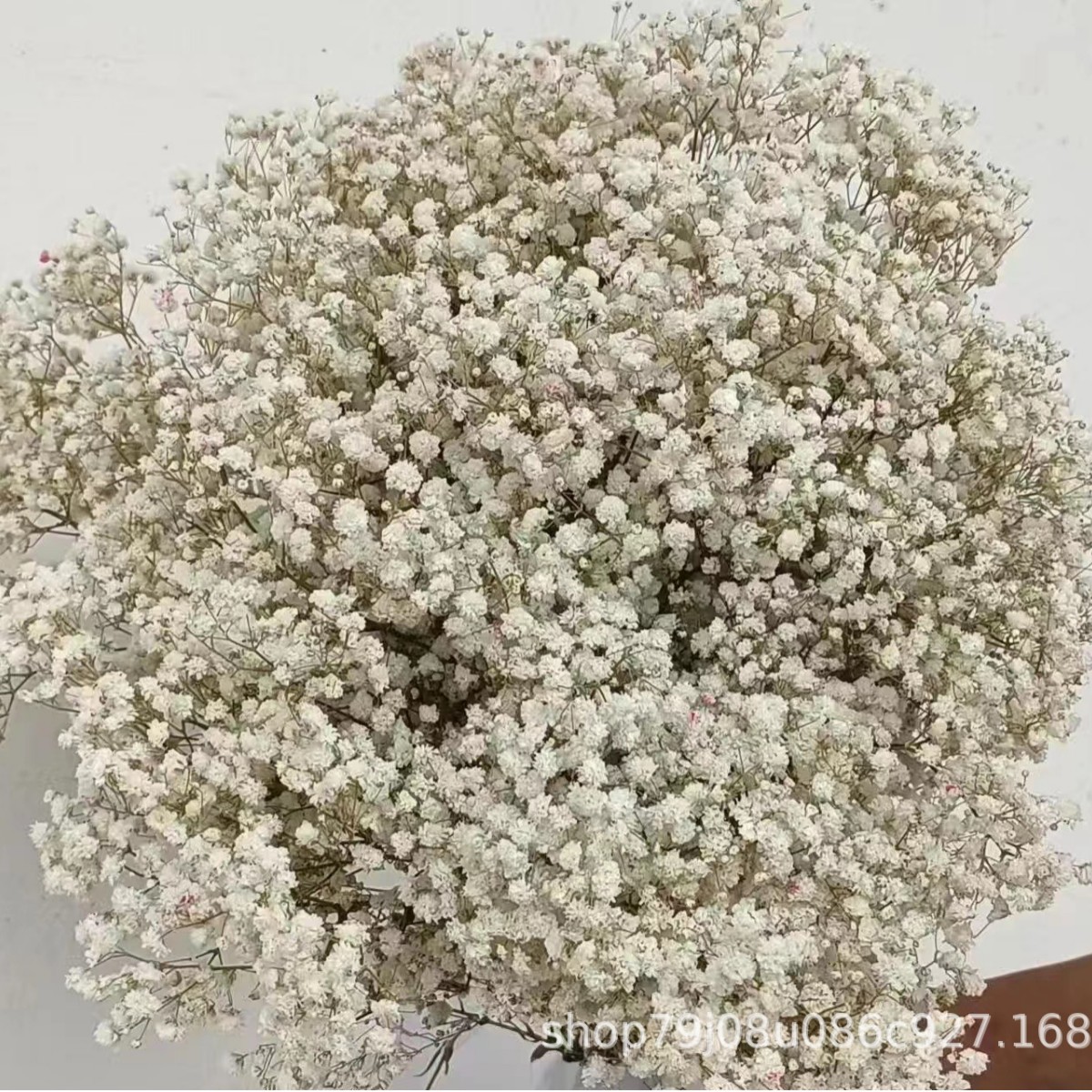 녹색 줄기와 흰색 꽃 머리 (450g) ±30g