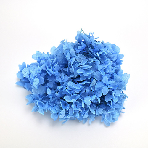 Magic flower immortal flower A-grade wooden hydrangea 20g birthday handmade hair accessories flowers diy wedding bouquet material package preservation