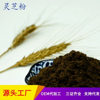 源头工厂生产现货 灵芝粉熟粉 可食用烘干原粉 量大优惠1斤起批发