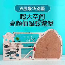 �Ǳ���С�W���乤����Ѩ��B��������ρ������Uչɳ��