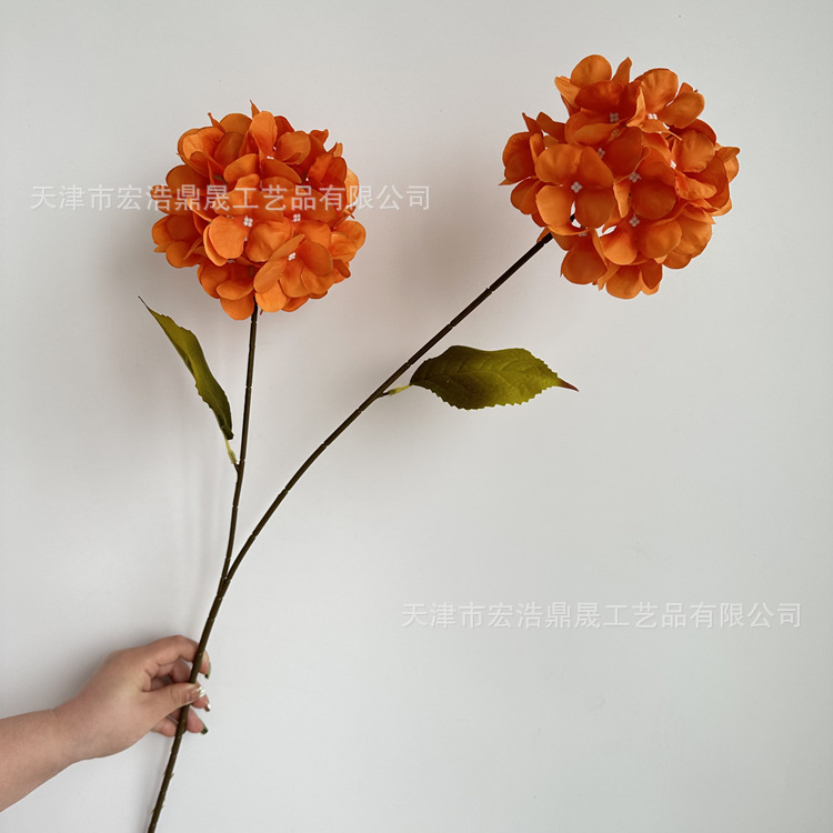 오렌지 (잎없이)