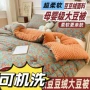 柔软春秋双人加厚冬被