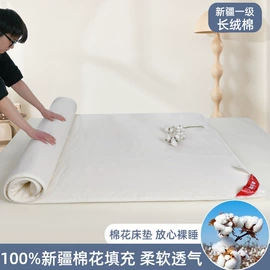 纤维枕;记忆枕;乳胶枕