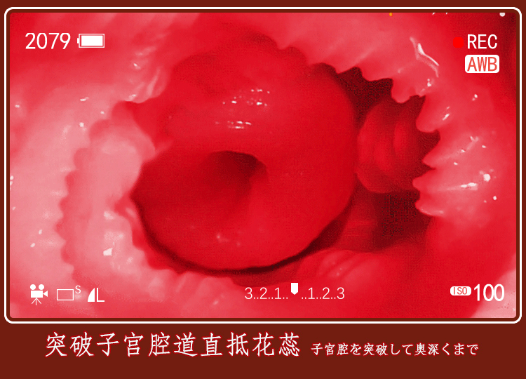 Jiuai Manual Male Masturbator TPE Half-body Model with Realistic Buttocks and Vaginal Entry — detail image 8