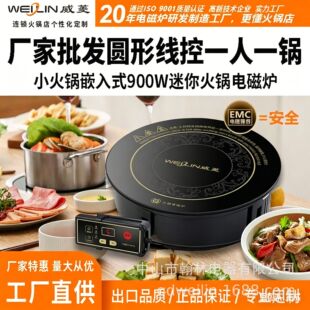 ����195mmС���늴ŠtǶ��ʽһ��һ偲����|������ʽ900W늳ؠt