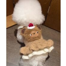 С�����·������ﶬ��̩�ϱ���ѩ�{��С��Ȯ���s�ﶬë�����׽���