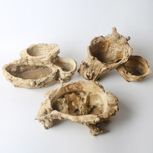 大号仿老树根木头复古多肉花盆原生态树桩树头拼盘多孔枯木种菜盆