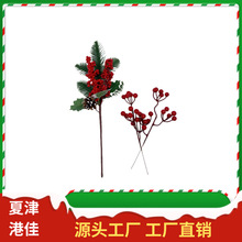 �}�Q�羳؛Դ��֦��ᘻ�֦����t���{����֦���c�����b���ֲ��