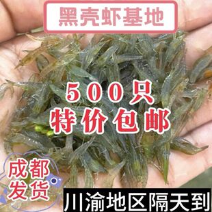 �ښ��r���嵭ˮ����^�p�r�坍�����~��С�ݸ��쾰�����r