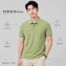 ��ĸ����polo���п�2026�¿�͸�r���̄�ɣ�Q�z��ʿ����t��荆�