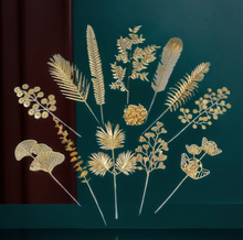 ���l��ɫ���滨����ֲ���ȼ����lؔ���y���~���~�Pβѩ����Y�b�