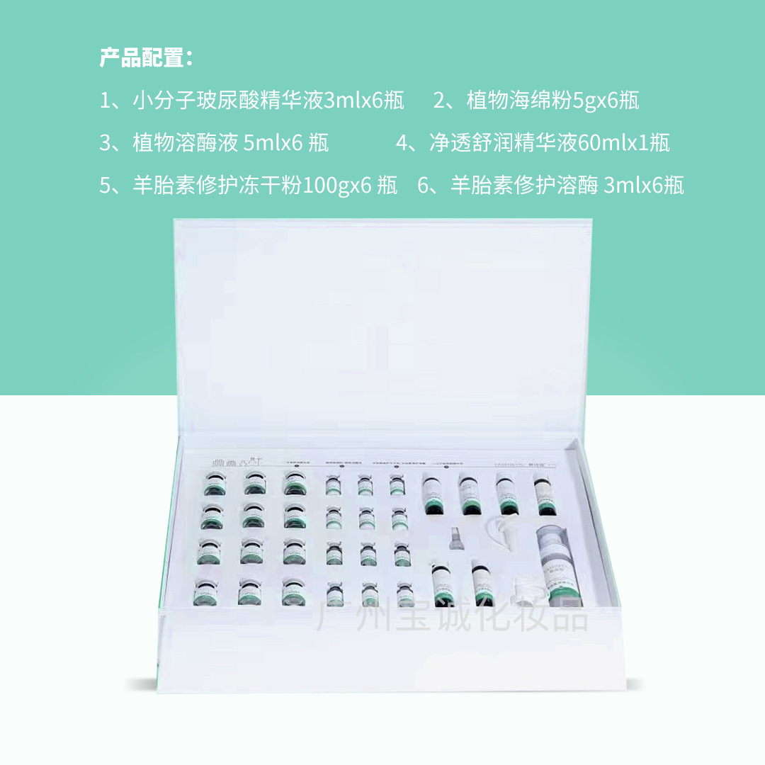 스폰지 스킨 케어 세트 B