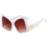 Sunglasses, 2023 collection, European style