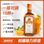 烘焙国产500ml柑橙基酒