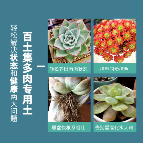 Manufacturer wholesales special nutrient soil for succulents, succulent granules, soil for household leaf cuttings, pavement planting, flower soil and plants