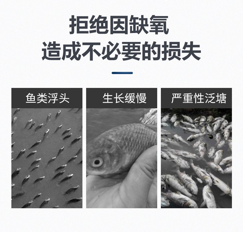 详情图06.jpg