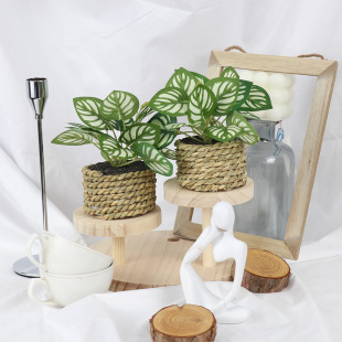 Simulated Green Plant Monstera Palm Artificial Flower Plastic Decoration Green Plant Floor-Standing Potted Plant Decoration Simulated Potted Plant Decoration