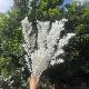 White Fugui Leaves Dried Flowers Bouquet Eternal Flowers Matching Materials Wedding Scene Layout Shooting Props Handmade diy Materials