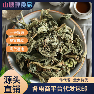 �`��������`�� ��� ������ �V�`�� �S��ݝMɽ����ș�����l���