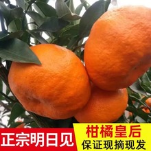 �Ĵ�üɽ��������Ҋ�������r�ЋDˮ�����l���䮔�������Ӱ��]