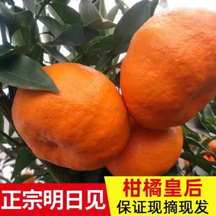 �Ĵ�üɽ��������Ҋ�������r�ЋDˮ�����l���䮔�������Ӱ��]