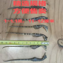 �F؛��Դ���R���l ˮ�a��؛���R�Ҝ����ݾ���ș��   ���R��؛���l