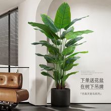 仿真绿植室内盆栽大型仿生植物假树轻奢客厅装饰花天堂鸟落地摆件