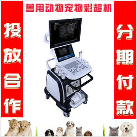 兽用国产彩超机价格宠物彩超生产厂家动物彩超b超机图片B超机品牌