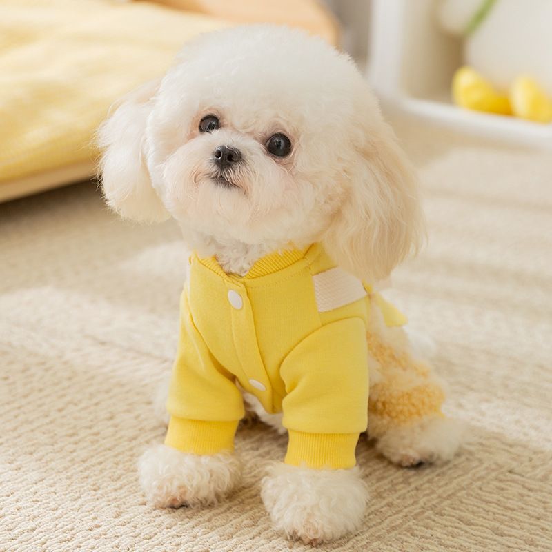 JM 개 옷 견인 버클 겨울 벨벳 의류 테디 강아지 야외 개 걷기 따뜻한 일본어와 한국 겨울 벨벳 네 다리