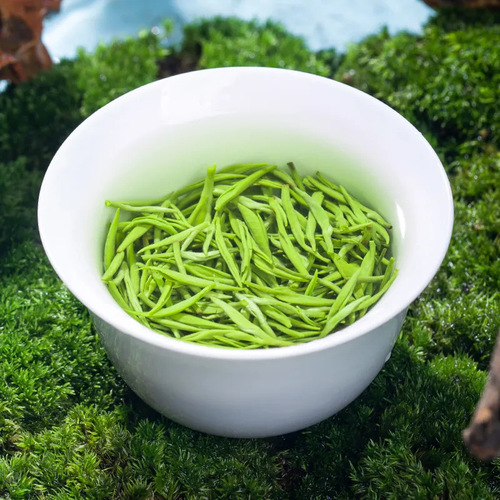 Touchun Tea Special Fruity Biluochun Green Tea Mingqian New Year Tea Gift Box 250-500g Tea Wholesale