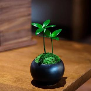 Lucky Four-Leaf Clover Bamboo Seedlings Indoor Fragrance Office Desktop Ornaments Mini Desktop Micro Landscape Small Potted Plants