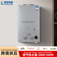 燃气热水器家用液化气热水器天然气热水器强排热水器工厂直供跨境