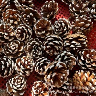 �����ɹ����}�Q�ɹ����ɹ�ˢ���ɹ�