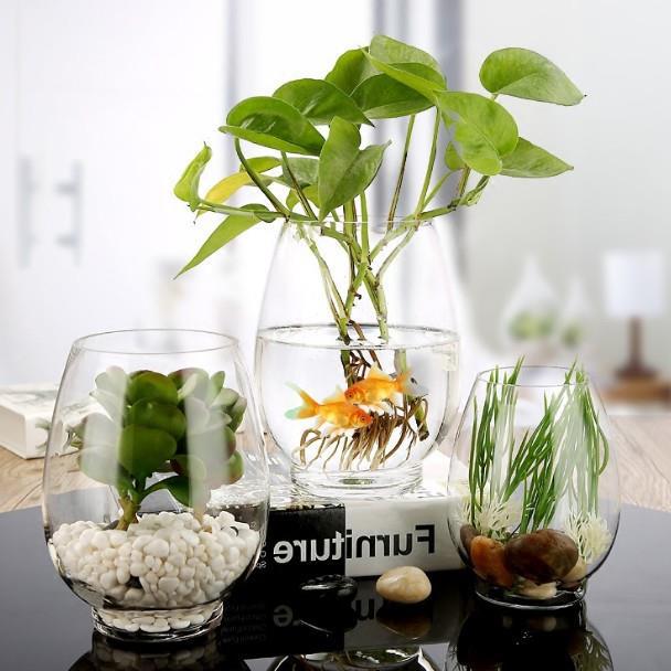 Hydroponic flower pot glass vase office desktop hydroponic vase round transparent fish tank wholesale